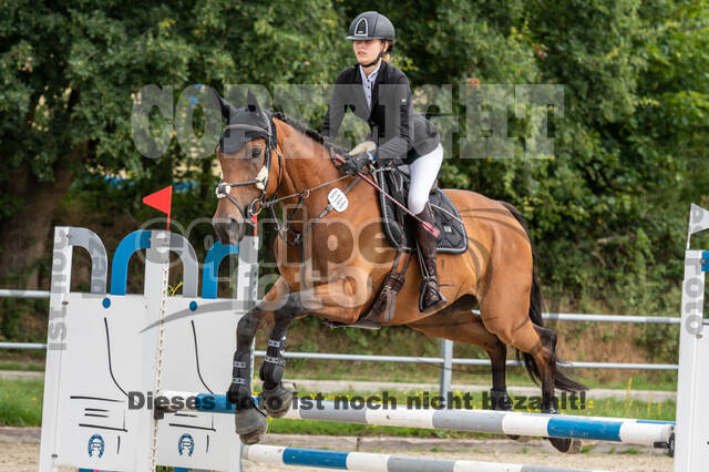 Late-Entry-Vielseitigkeit Langenfeld (06.+07.07.2020)