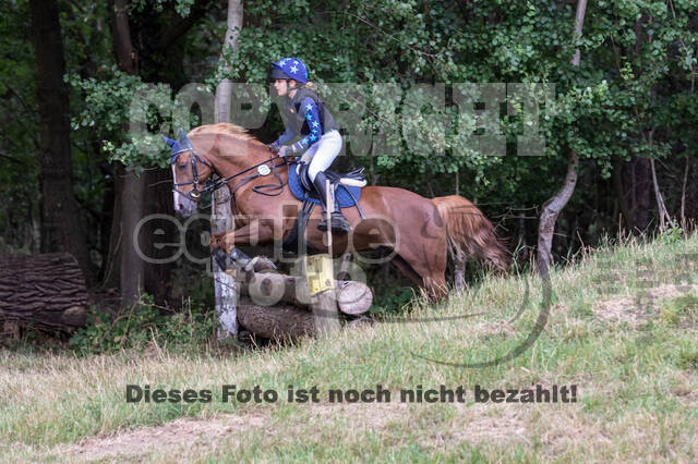 Late-Entry Vielseitigkeit Hamminkeln/Wesel (01.+02.08.2020)