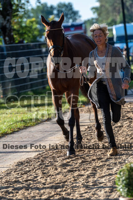 Deutsche Meisterschaft Vielseitigkeit (Luhmühlen)