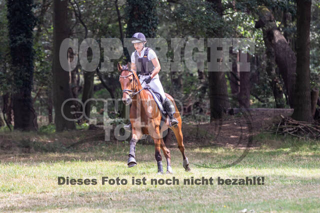 Late-Entry Vielseitigkeit Hamminkeln/Wesel (01.+02.08.2020)