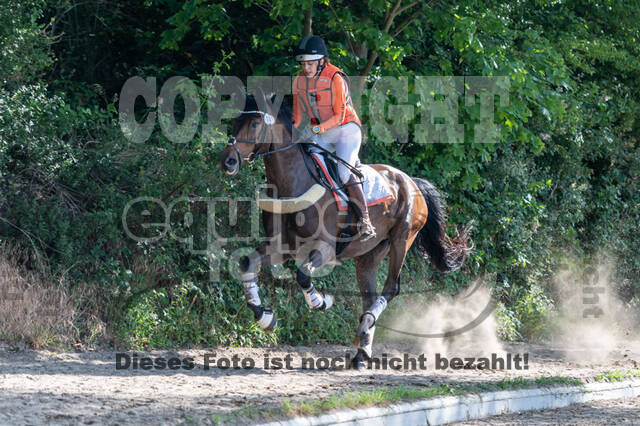 Late-Entry-Vielseitigkeit Langenfeld (11.+13./14.06.2020)