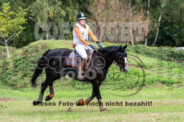 Vielseitigkeit RSV Wesel Obrighoven (26.+27.09.2020)