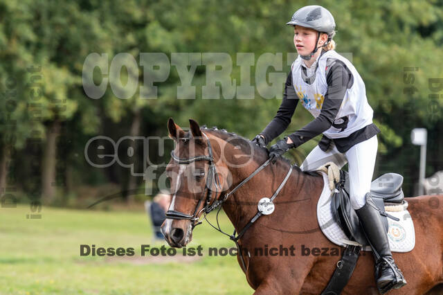 Vielseitigkeit RSV Wesel Obrighoven (26.+27.09.2020)