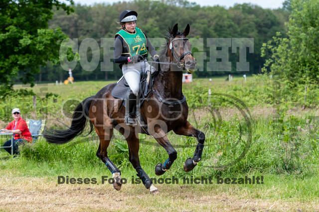 Westerstede Horse Trials (10.-13.06.2021)