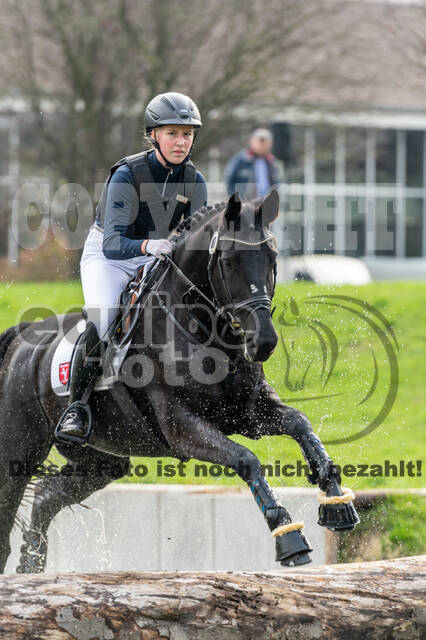 Goldene Schärpe 2020 - Pferde