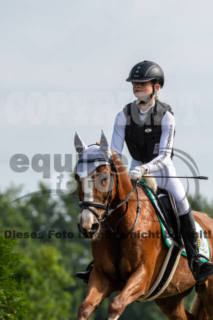 Goldene Schärpe 2021 - Ponys