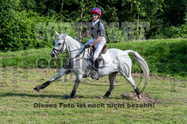 Goldene Schärpe 2021 - Ponys