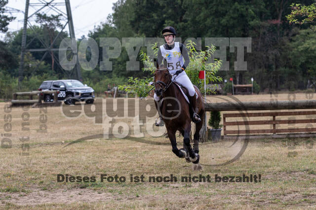 Late-Entry Vielseitigkeit Hamminkeln/Wesel (01.+02.08.2020)