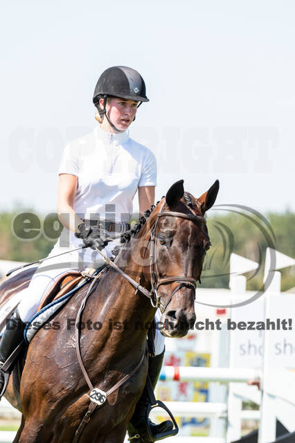 Kronenberg - De Peelbergen (August 2020)