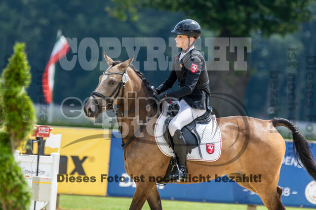 Goldene Schärpe 2021 - Ponys