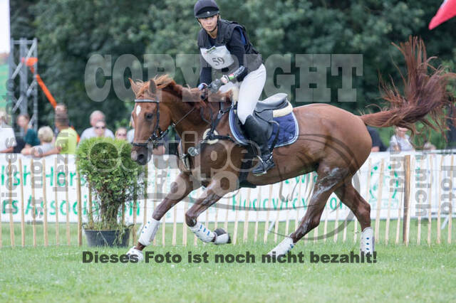 FEI European Championship Eventing 2017