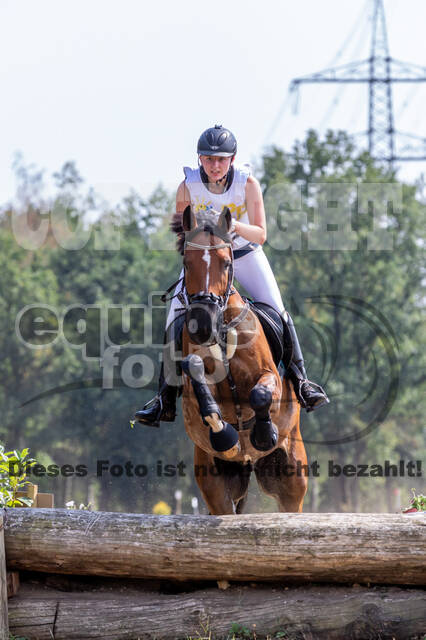 Late-Entry Vielseitigkeit Hamminkeln/Wesel (01.+02.08.2020)