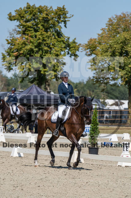 Kronenberg - De Peelbergen (August 2020)