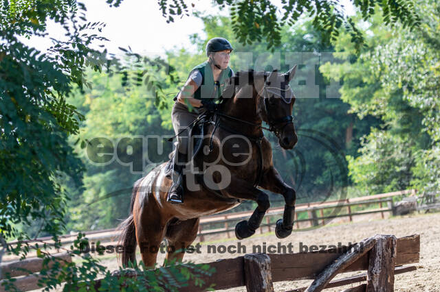 Hunter Geländetraining (16.08.2020)
