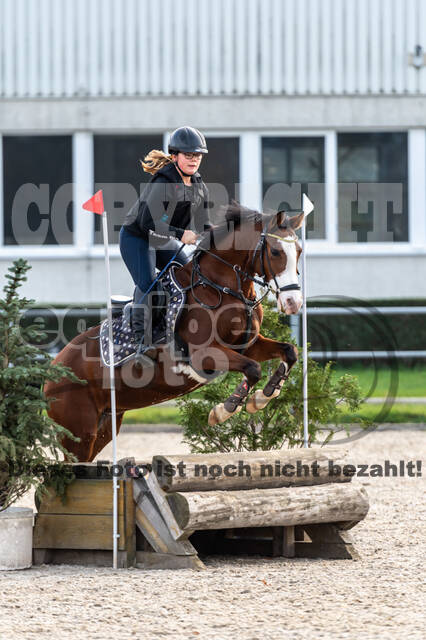IGV Lehrgang der Sieger der Cups mit Frank Ostholt