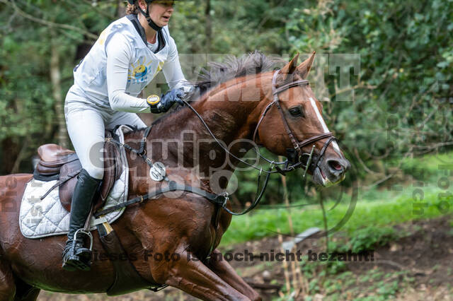 Vielseitigkeit RSV Wesel Obrighoven (26.+27.09.2020)