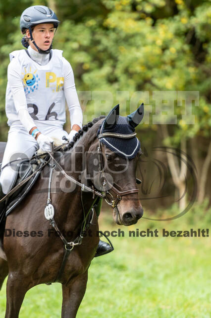 Vielseitigkeit RSV Wesel Obrighoven (26.+27.09.2020)
