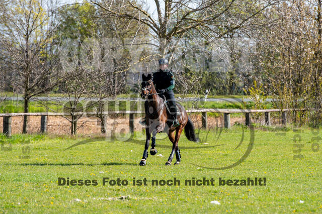 Geländetraining ZRFV Hamminkeln (24+25.04.2021)