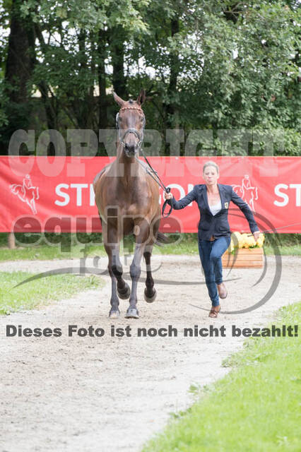 FEI European Championship Eventing 2017