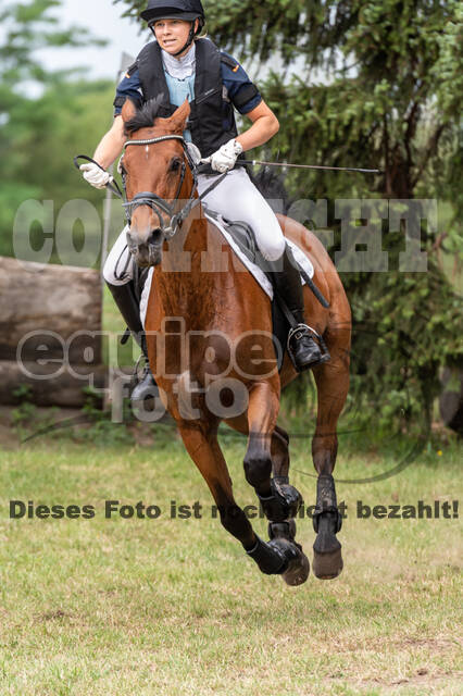 Late-Entry-Vielseitigkeit Langenfeld (11.+13./14.06.2020)