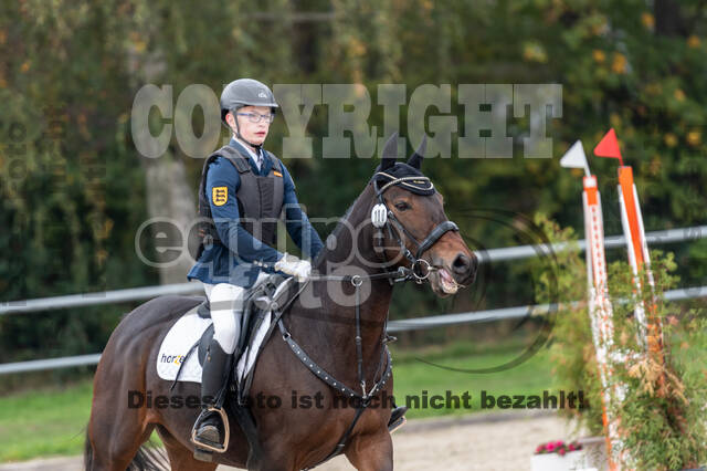 Goldene Schärpe 2020 - Pferde