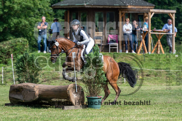 Goldene Schärpe 2021 - Ponys