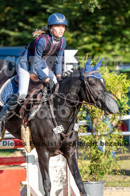 RFV Dinslaken-Hiesfeld (Herbstturnier)
