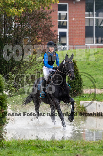 Goldene Schärpe 2020 - Pferde