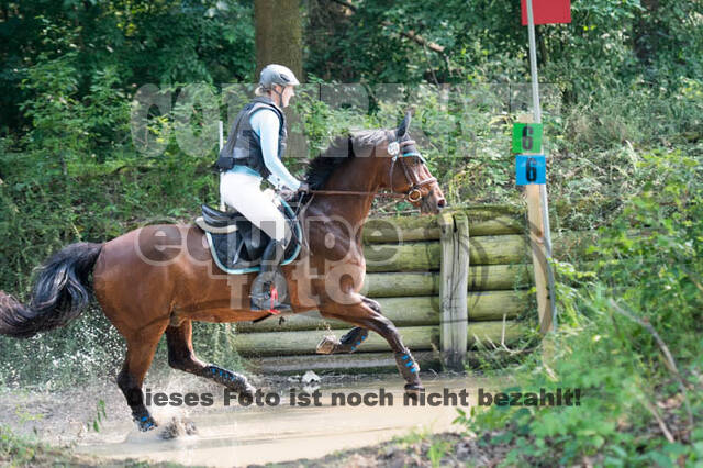 RFV Bad Honnef