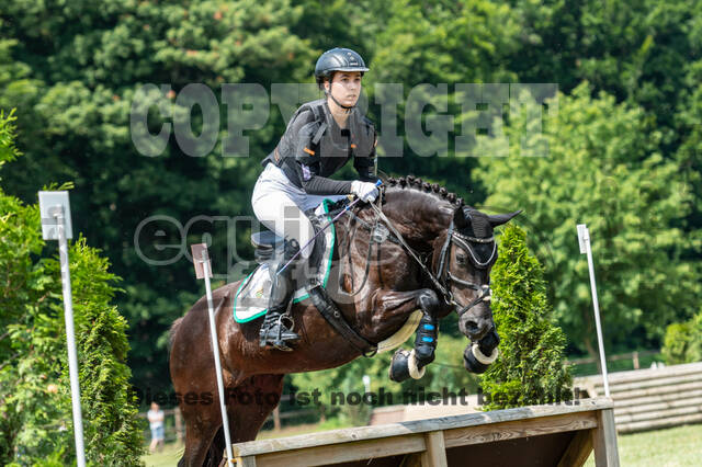 Goldene Schärpe 2021 - Ponys