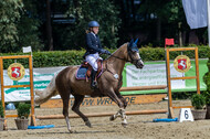 Goldene Schärpe 2021 - Ponys