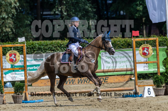 Goldene Schärpe 2021 - Ponys