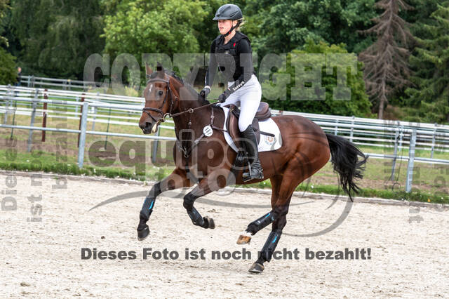 Late-Entry-Vielseitigkeit Langenfeld (06.+07.07.2020)