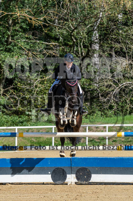 RFV Dinslaken-Hiesfeld (Herbstturnier)