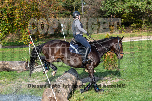 IGV Lehrgang der Sieger der Cups mit Frank Ostholt