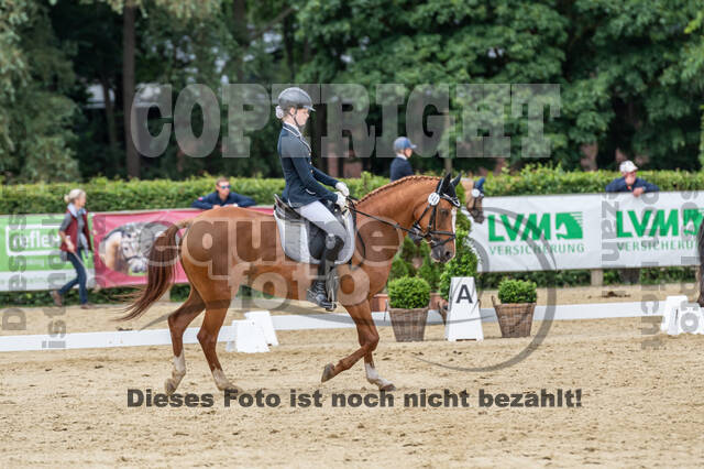 Goldene Schärpe 2021 - Ponys