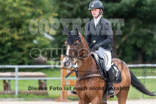 Late-Entry-Vielseitigkeit Langenfeld (06.+07.07.2020)