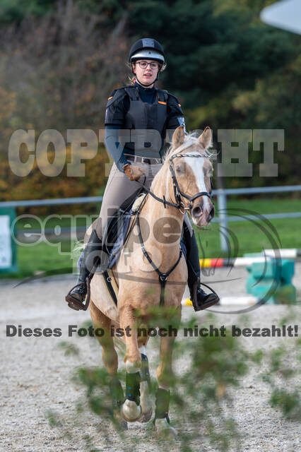 IGV Lehrgang der Sieger der Cups mit Frank Ostholt