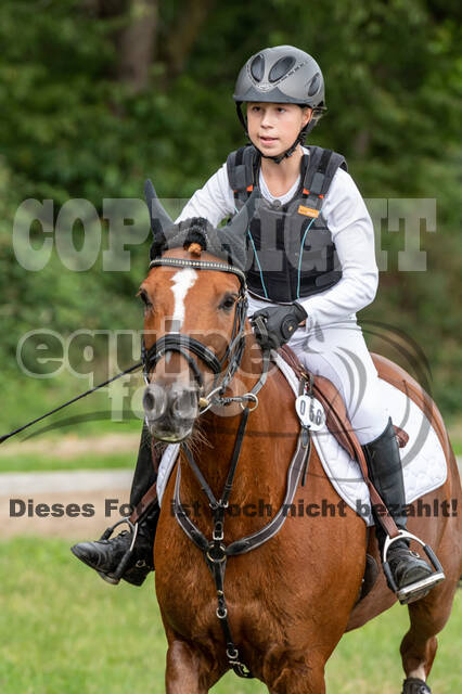 Late-Entry-Vielseitigkeit Langenfeld (06.+07.07.2020)