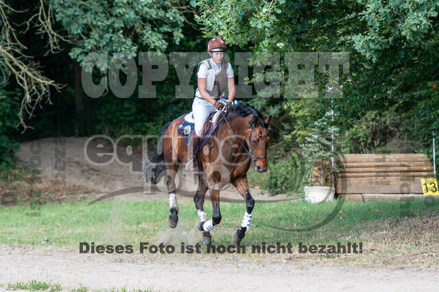 Late-Entry-Vielseitigkeit Langenfeld (11.+13./14.06.2020)