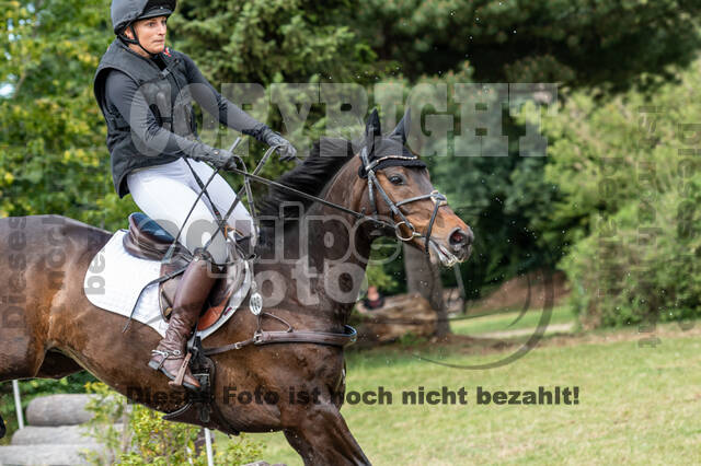 Late-Entry-Vielseitigkeit Langenfeld (11.+13./14.06.2020)