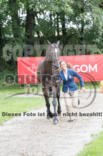 FEI European Championship