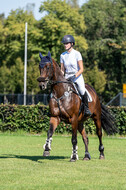 Kronenberg - De Peelbergen (August 2020)
