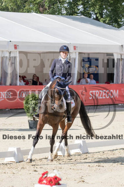 FEI European Championship Eventing 2017