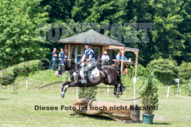 Goldene Schärpe 2021 - Ponys