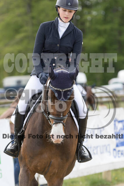 Sterne über Münster 2019 - CCI***S