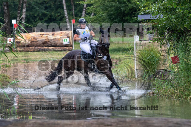 Late-Entry Vielseitigkeit Hamminkeln/Wesel (01.+02.08.2020)