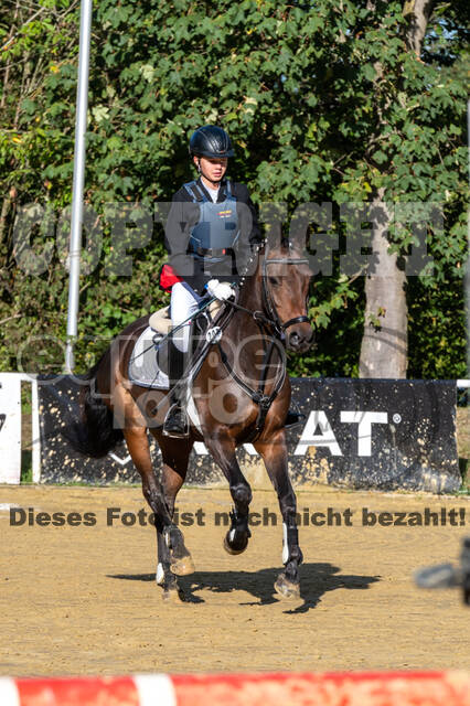 RFV Dinslaken-Hiesfeld (Herbstturnier)