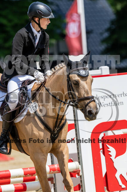 Goldene Schärpe 2021 - Ponys