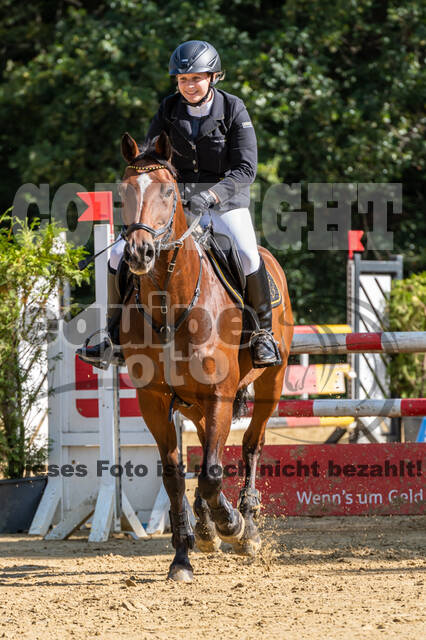 RFV Dinslaken-Hiesfeld (Herbstturnier)